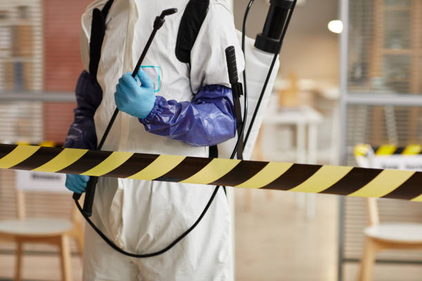 Professional Sewage Cleanup technician working in Hiwasse, AR